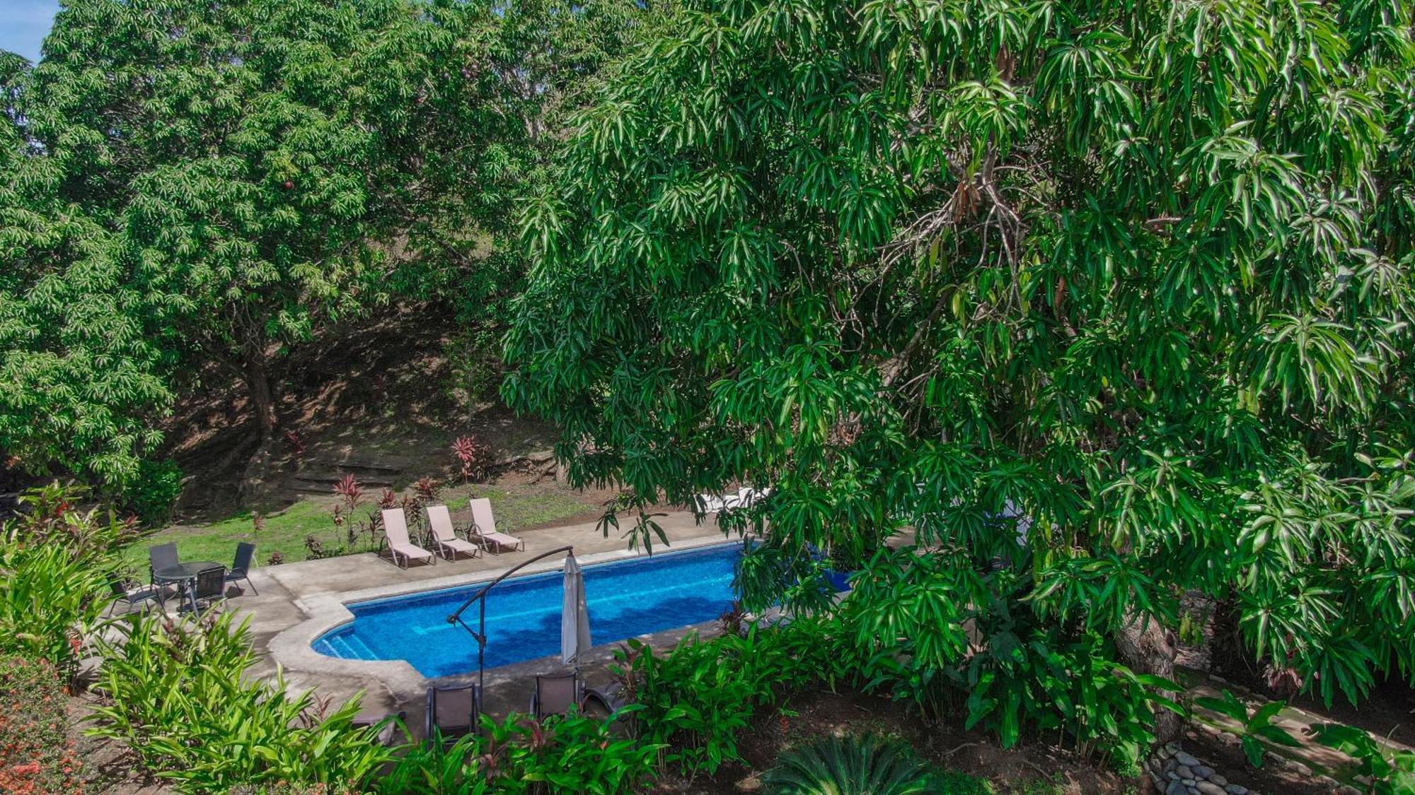 Surf Synergy All-Inclusive Surf Retreat Jaco Luaran gambar